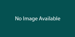 No Image Available