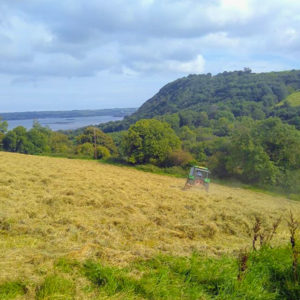 View from Jubilee Farm