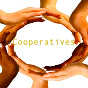 Co-operatives